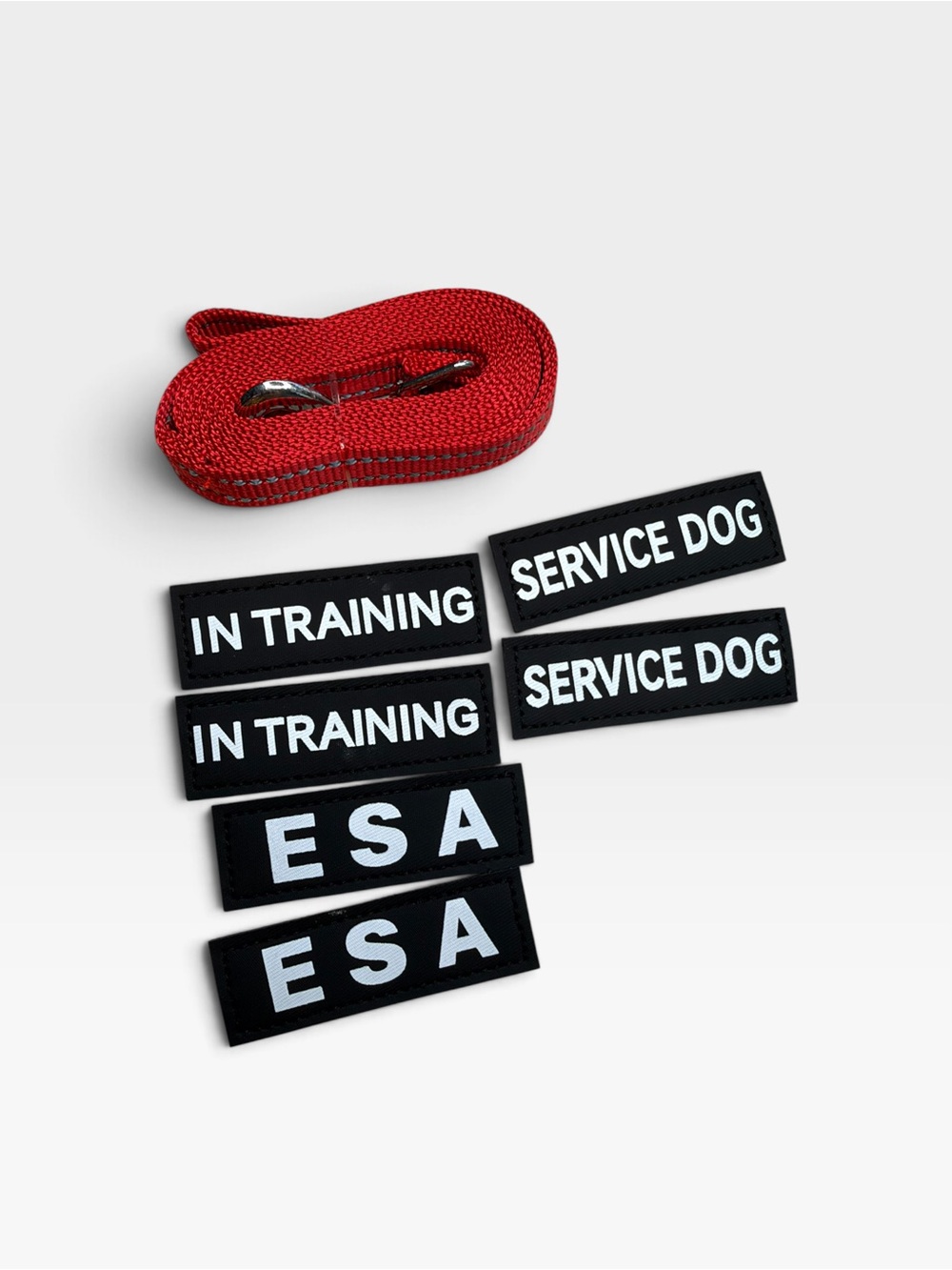 Red Dog Leash with Removable Service & In Training Patches